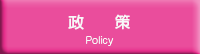 政策